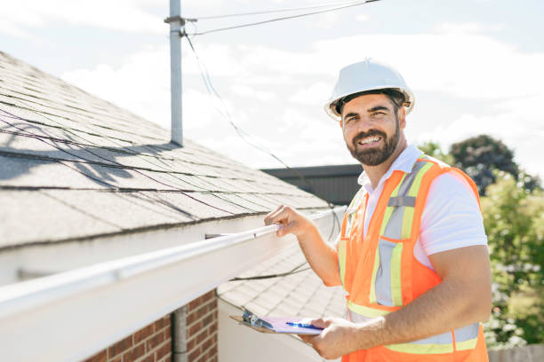 Steel Roofing in Williamsville, IL